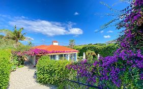 Terra Vivaz - Ribeira Cottage