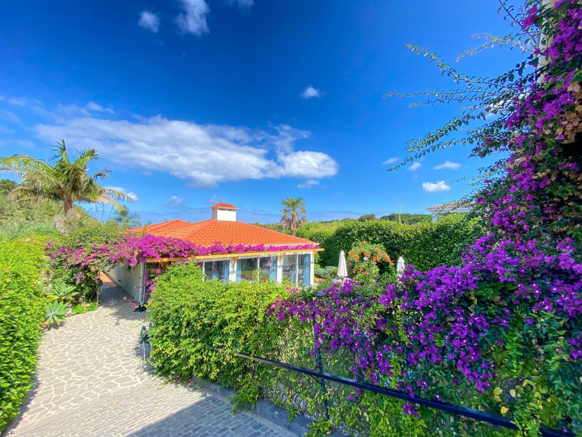 Terra Vivaz - Ribeira Cottage Ribeira Grande Extérieur photo